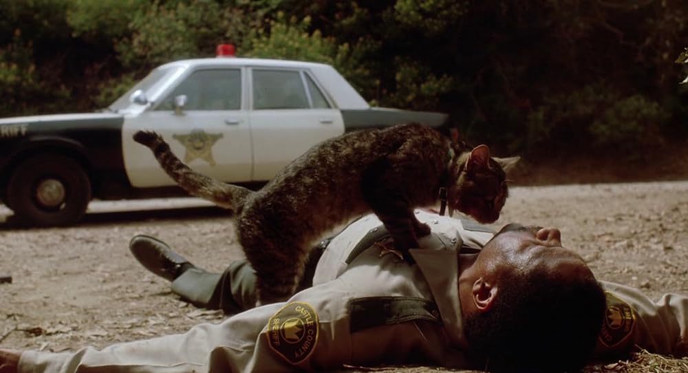 スリープウォーカーズの画像