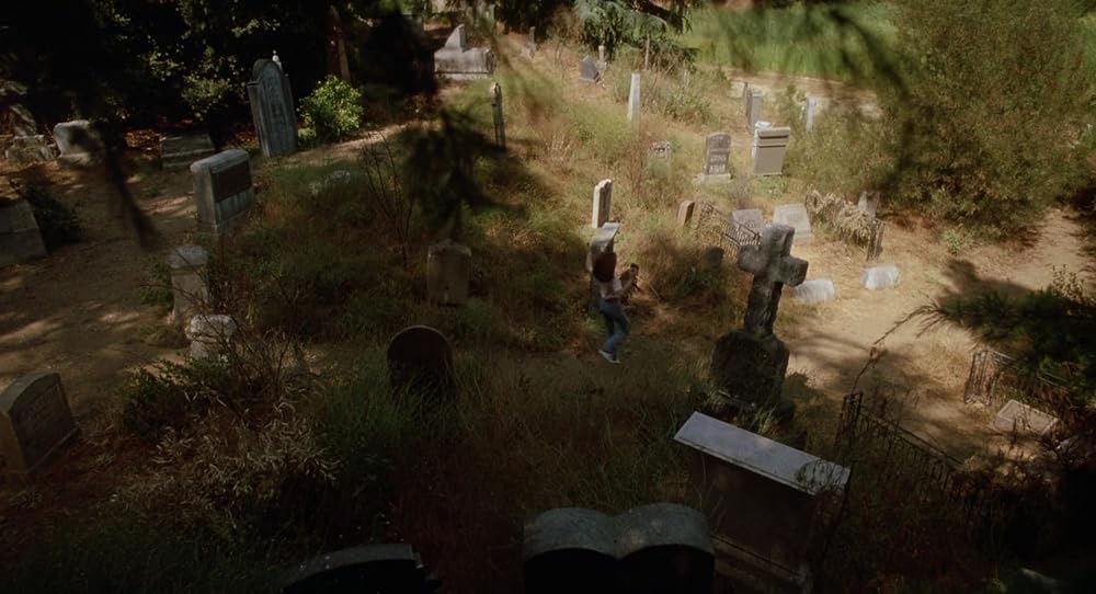 スリープウォーカーズの画像