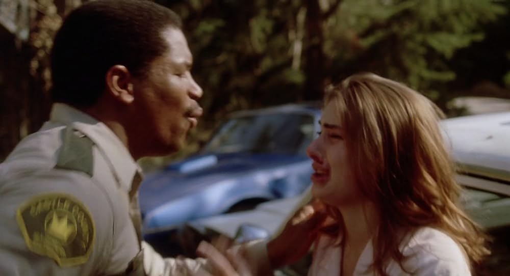 スリープウォーカーズの画像