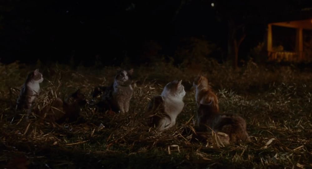 スリープウォーカーズの画像