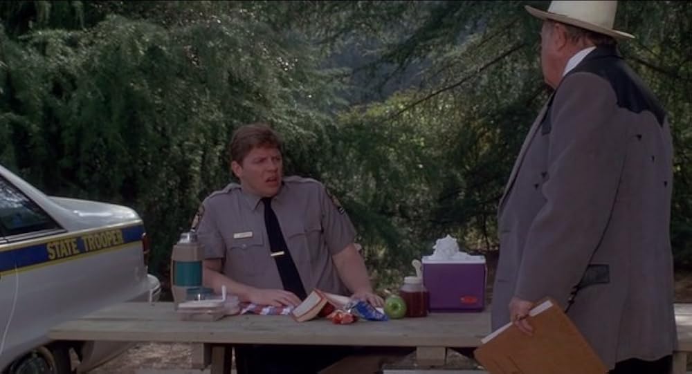 僕たちのサマーキャンプ／親の居ぬ間に…の画像