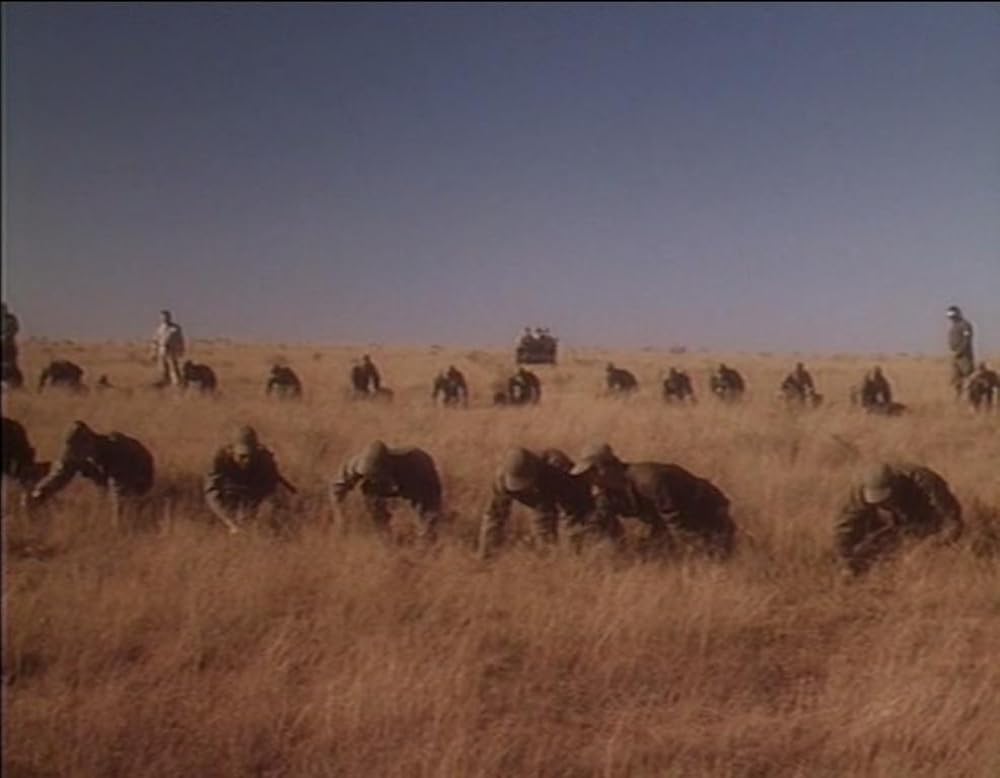 ロズウェルの画像