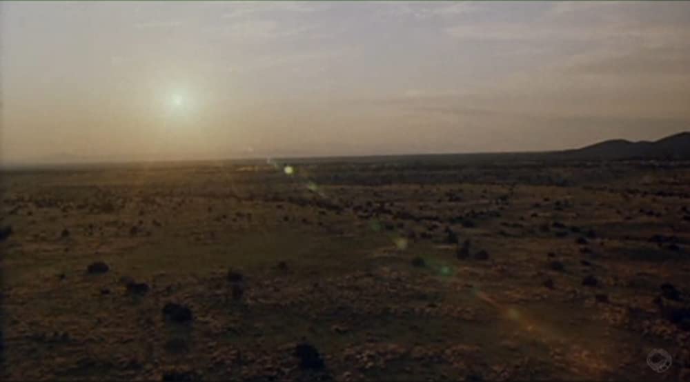 フール・フォア・ラブの画像