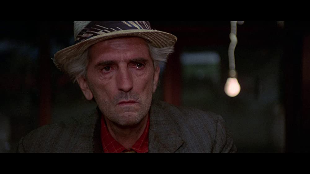 「フール・フォア・ラブ」ハリー・ディーン・スタントンの画像