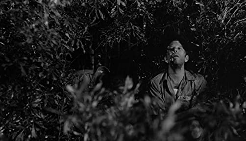 ダウン・バイ・ローの画像