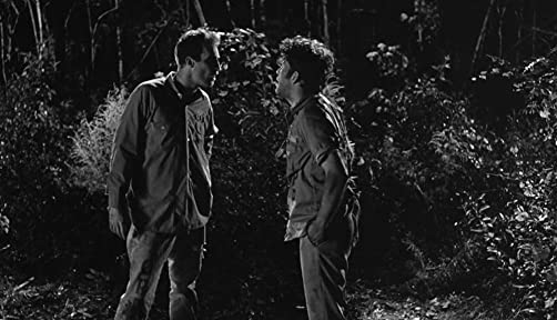 ダウン・バイ・ローの画像