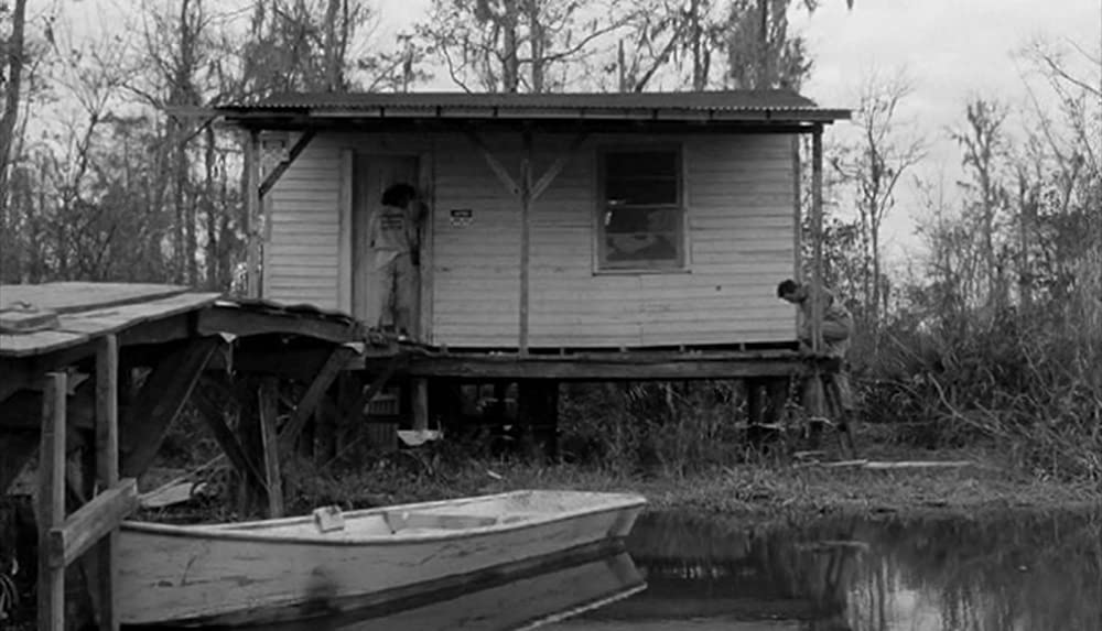 ダウン・バイ・ローの画像