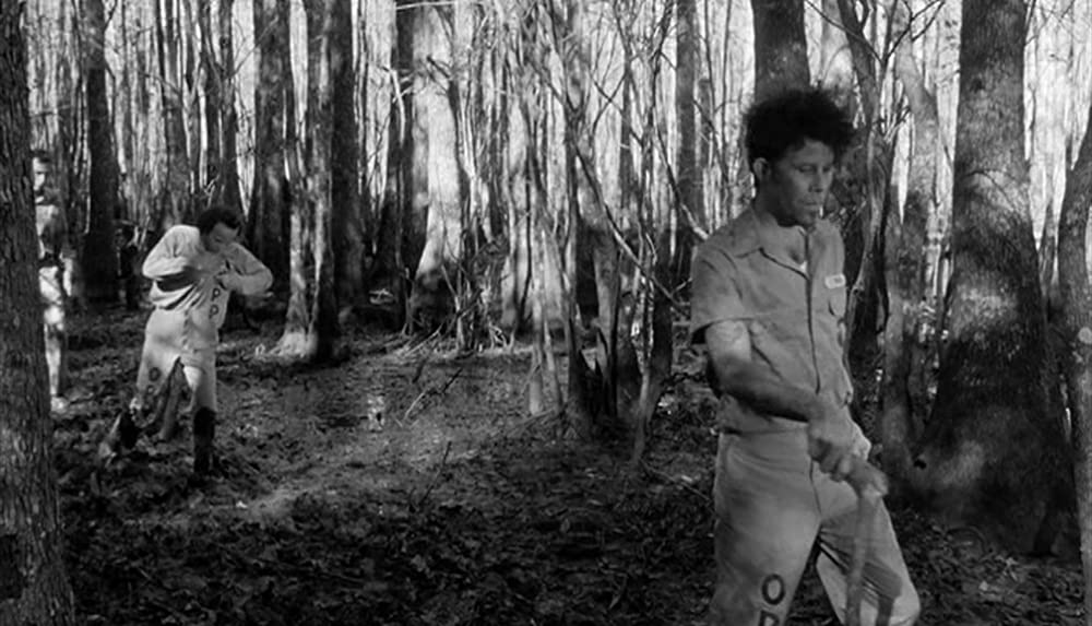 ダウン・バイ・ローの画像