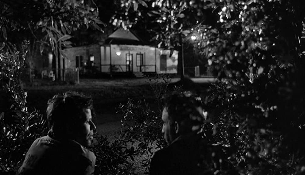 ダウン・バイ・ローの画像