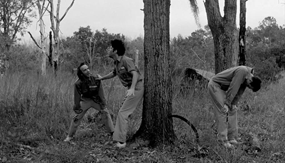 ダウン・バイ・ローの画像