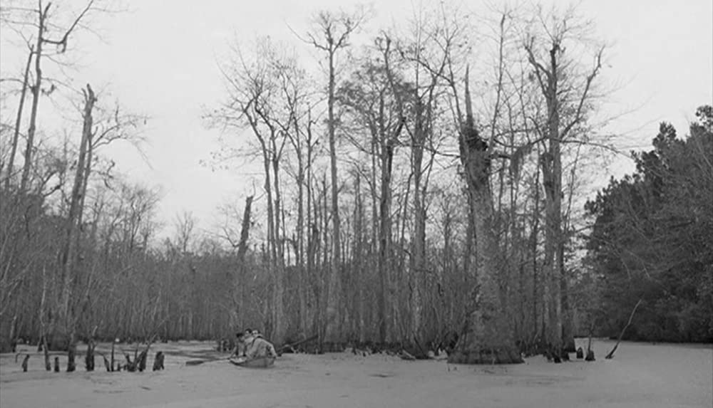 ダウン・バイ・ローの画像