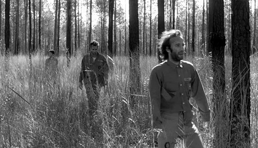 ダウン・バイ・ローの画像