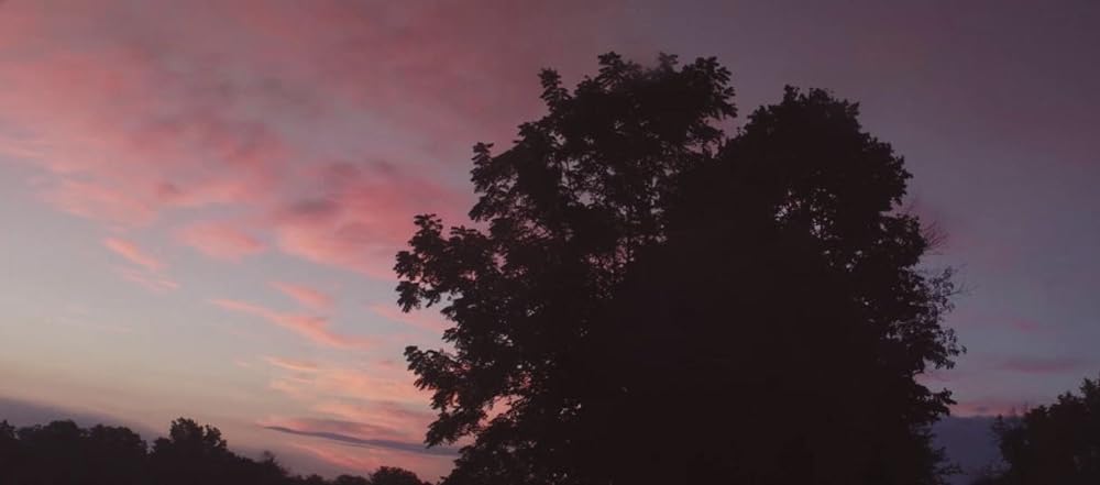 The Strange Ones（原題）の画像