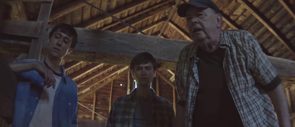 The Strange Ones（原題）の画像