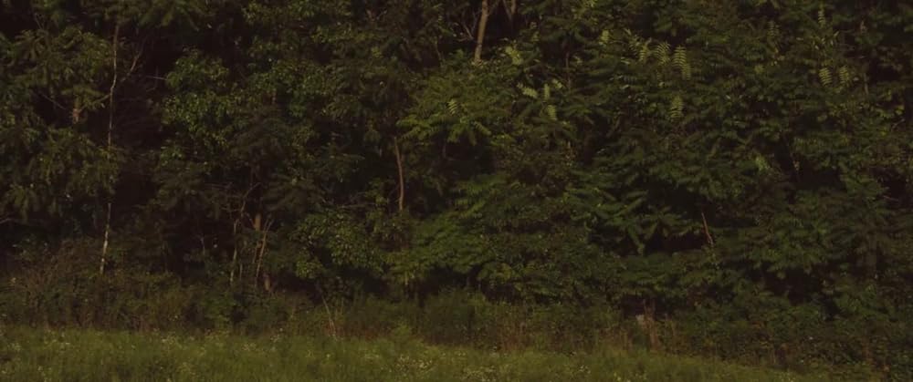 The Strange Ones（原題）の画像