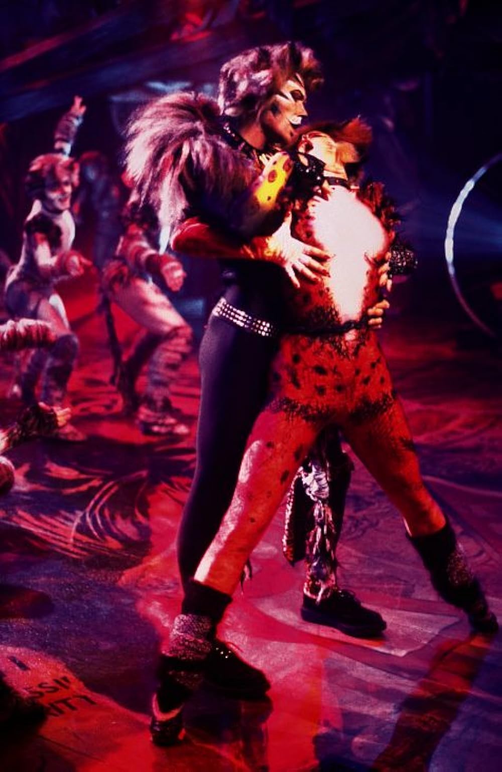 キャッツの画像