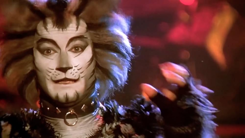 キャッツの画像