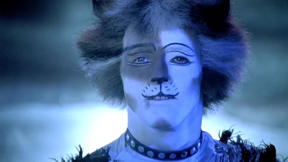 キャッツの画像