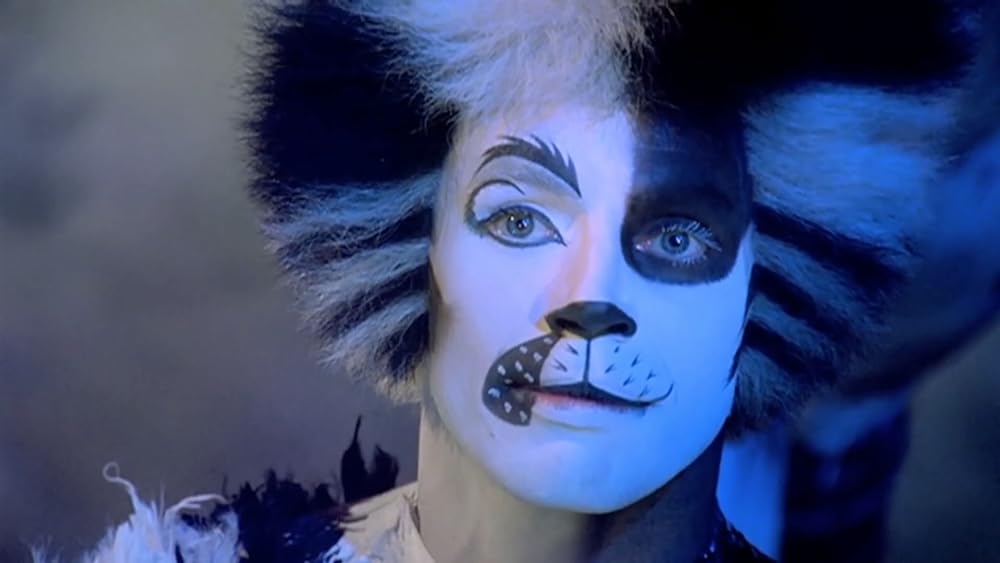 キャッツの画像