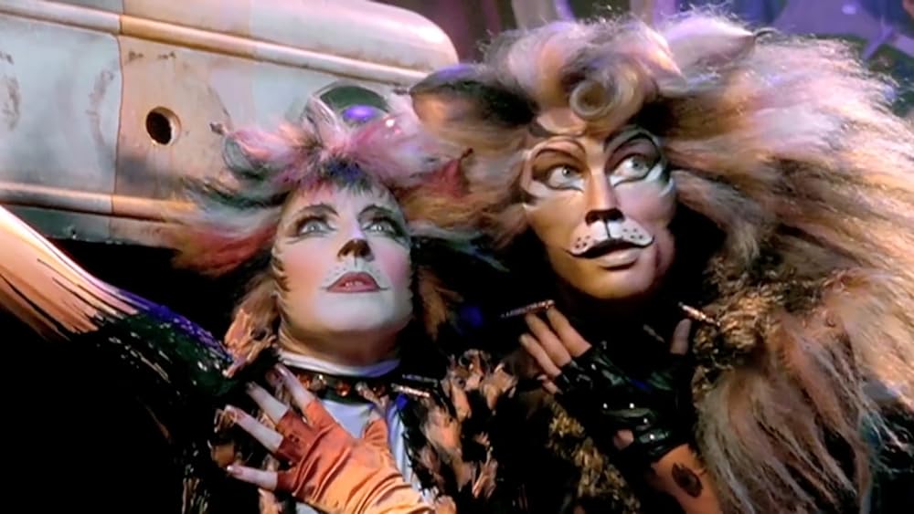 キャッツの画像