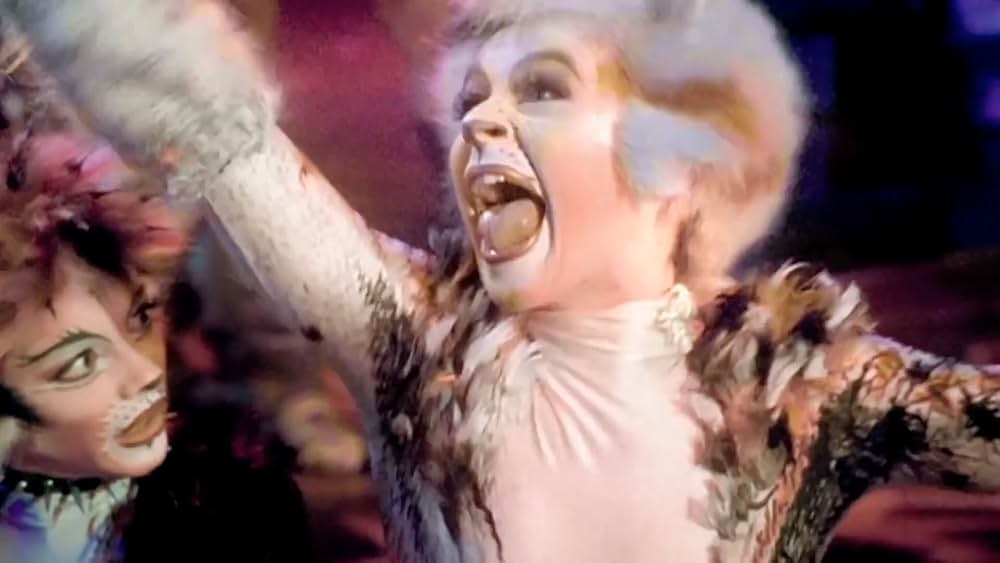 キャッツの画像