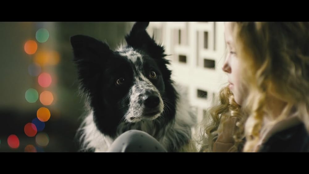 スクール・アローンの画像