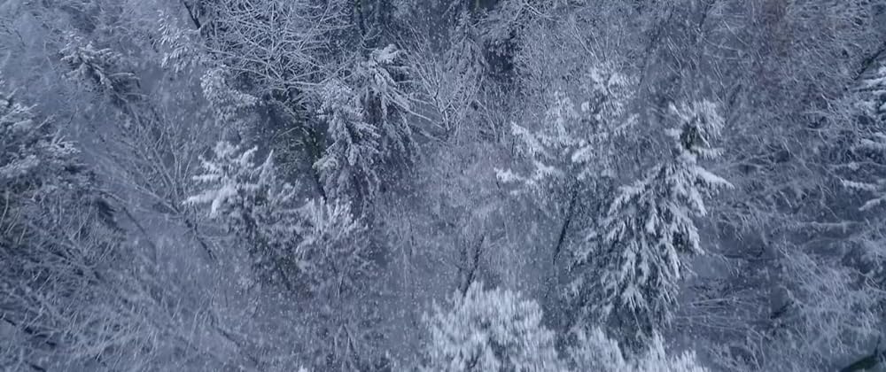 スクール・アローンの画像