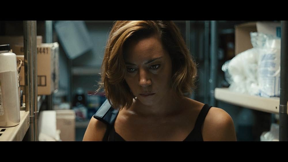 エミリー・ザ・クリミナルの画像