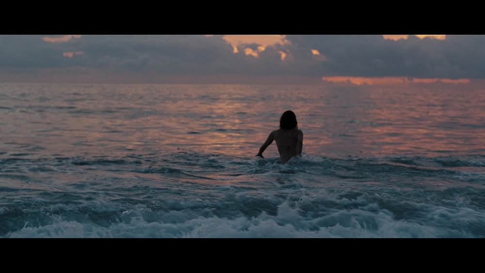 エミリー・ザ・クリミナルの画像