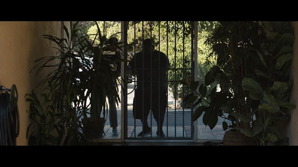 エミリー・ザ・クリミナルの画像