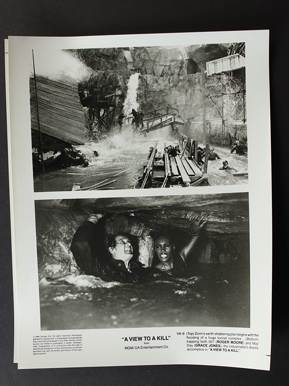 007／美しき獲物たちの画像