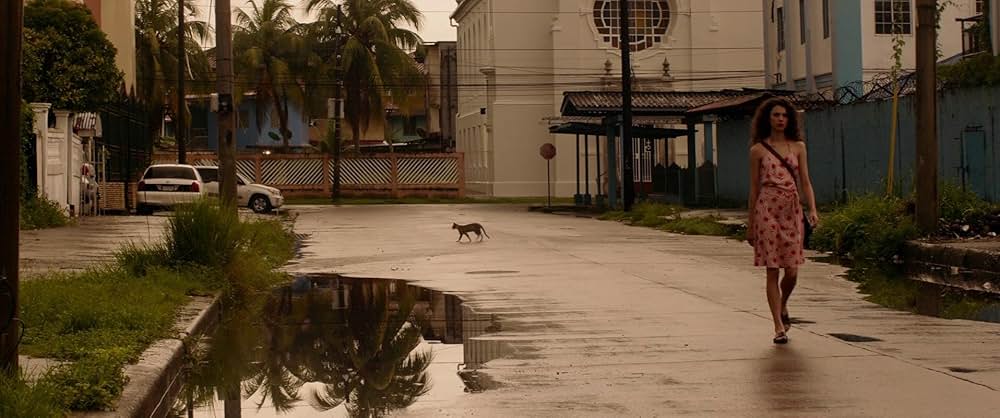 Stars at Noon（原題）の画像