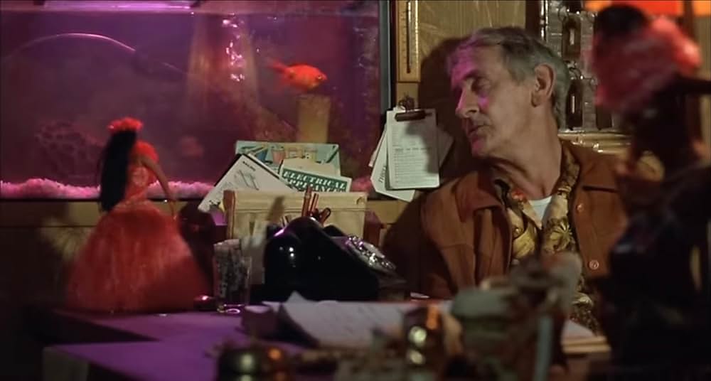 ニコール・キッドマンの恋愛天国の画像