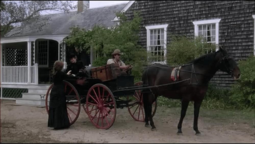 ボストニアンの画像