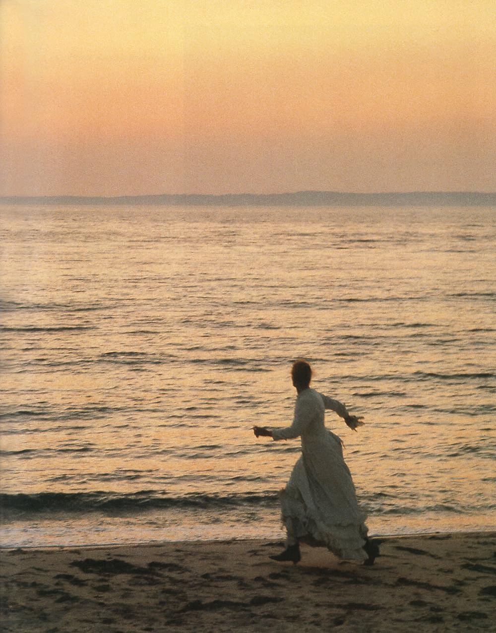 ボストニアンの画像