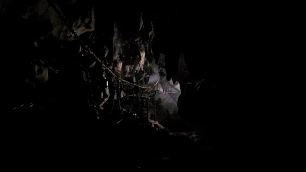 ドラッグ・スターの画像