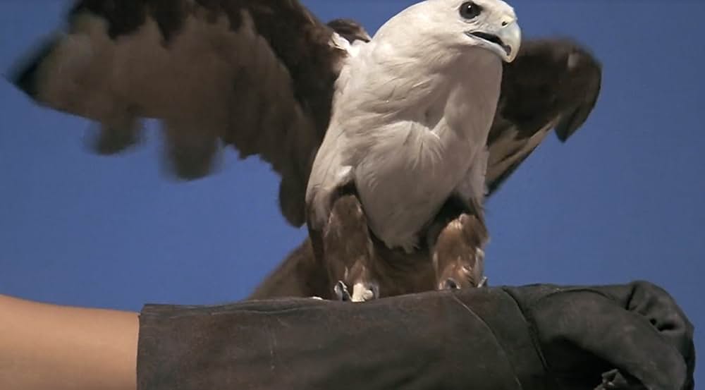 ドラッグ・スターの画像