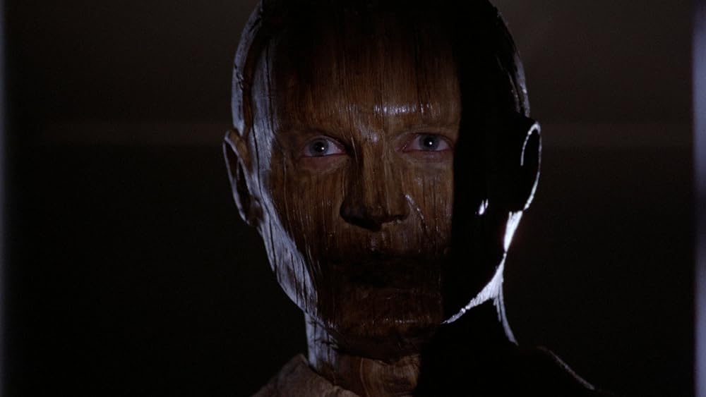 ザ・フィアーの画像