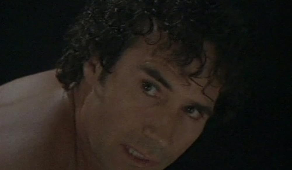 ザ・キャッチャーの画像