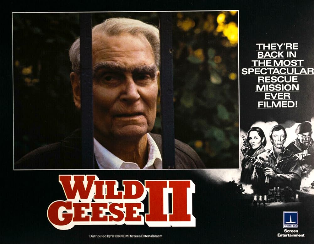 ワイルド・ギース IIの画像