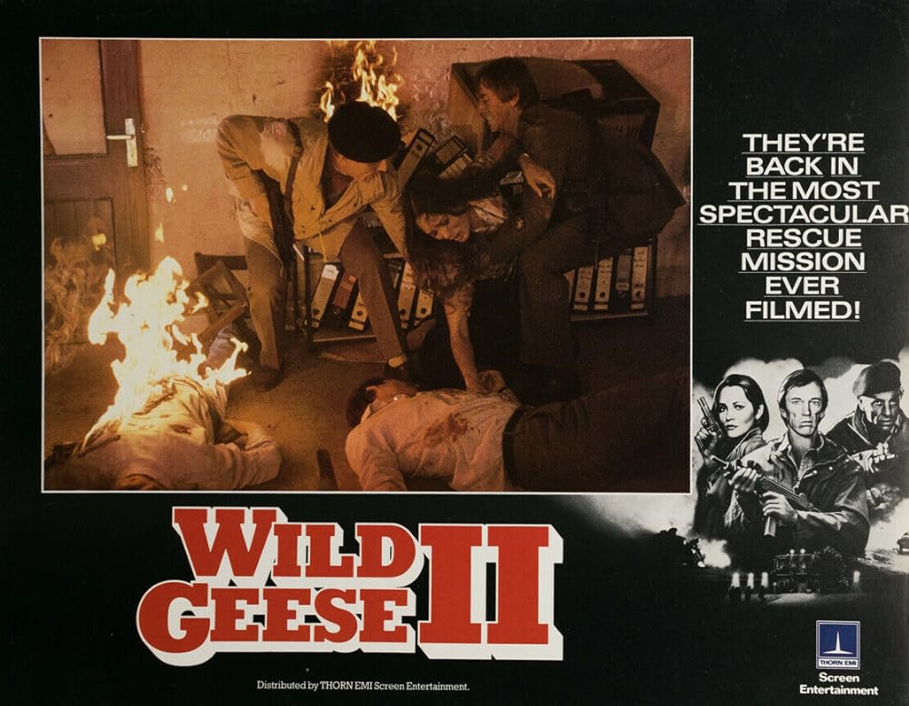 ワイルド・ギース IIの画像