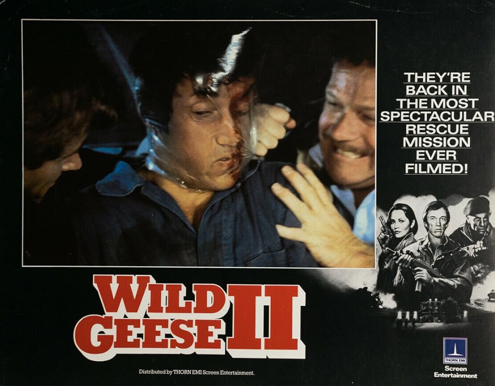 ワイルド・ギース IIの画像