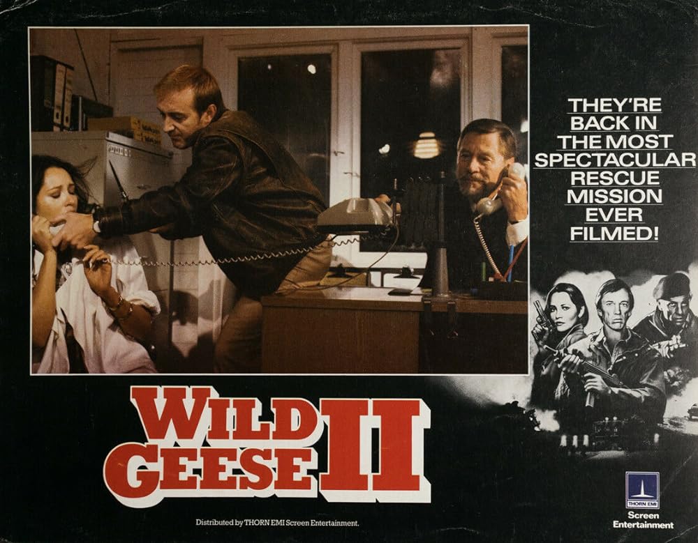 ワイルド・ギース IIの画像