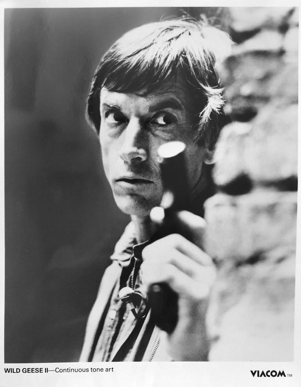 ワイルド・ギース IIの画像