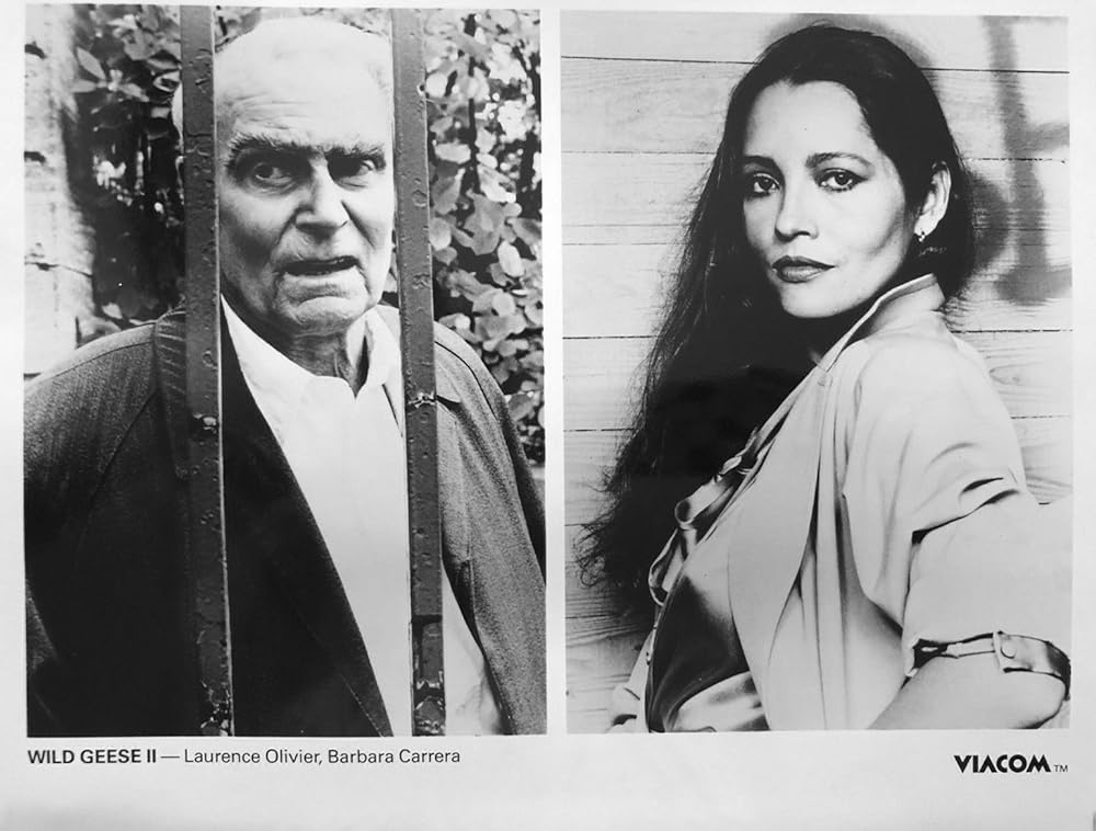 ワイルド・ギース IIの画像