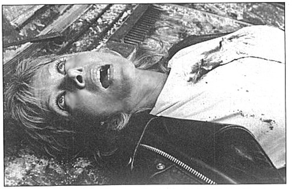 ワイルド・ギース IIの画像