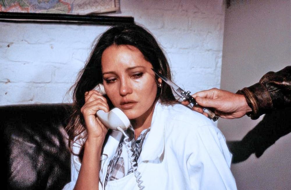 ワイルド・ギース IIの画像