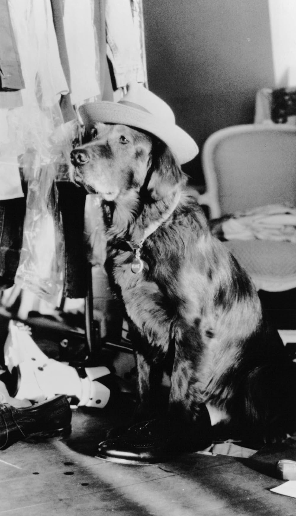 フルークの画像