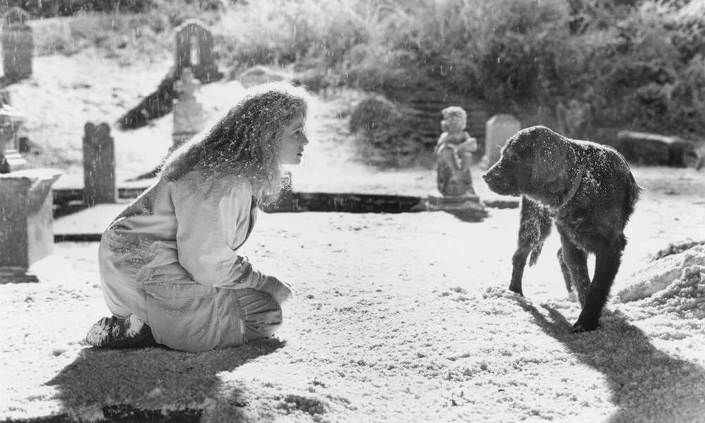 フルークの画像