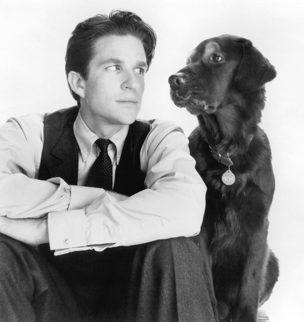 フルークの画像